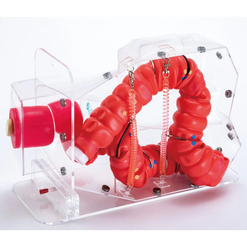 3D Colonoscope Training Simulator NKS