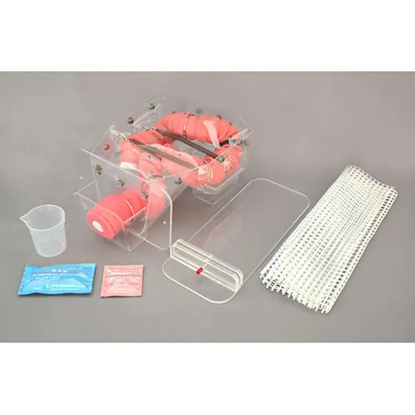 3D Colonoscope Training Simulator NKS