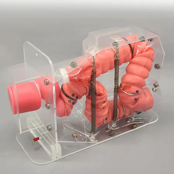 3D Colonoscope Training Simulator NKS
