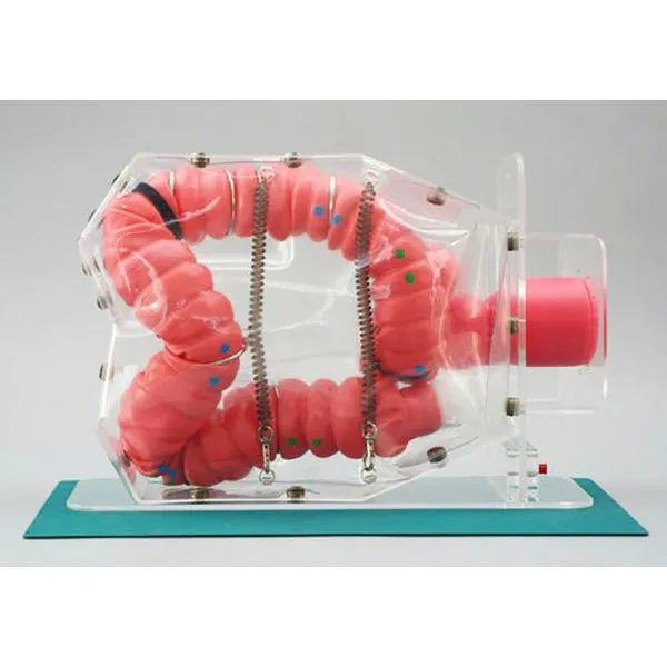 3D Colonoscope Training Simulator NKS