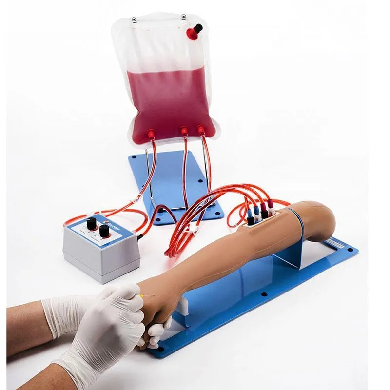 5-Year Pediatric IV and Arterial Access Training Arm S405.100, Dark