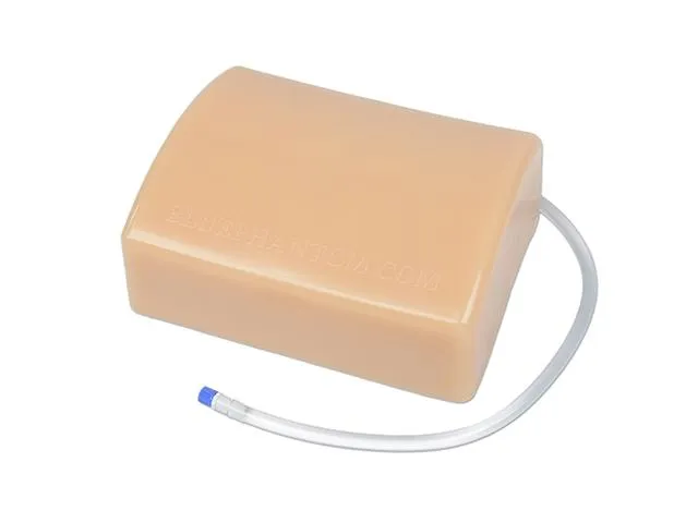 Abscess Drainage Ultrasound Training Model