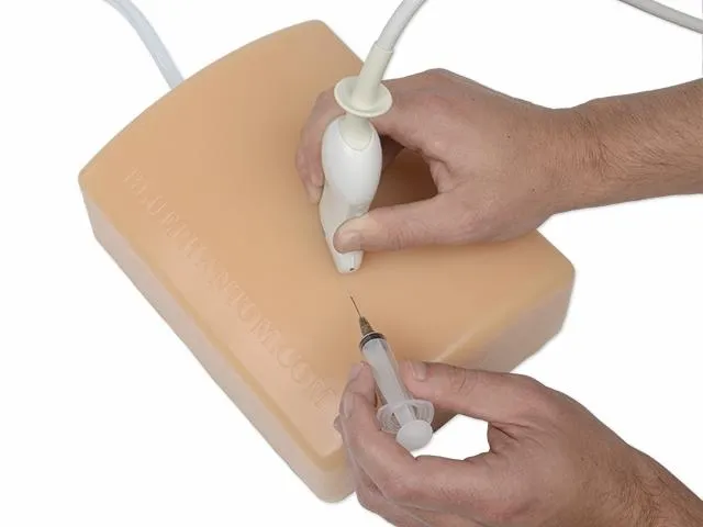Abscess Drainage Ultrasound Training Model
