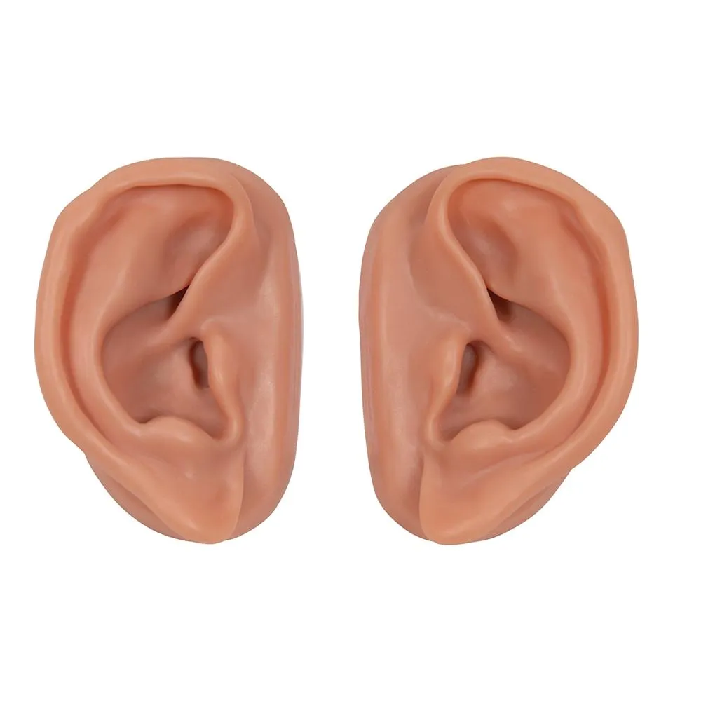 Acupuncture Ear Models, Set for 10 Students