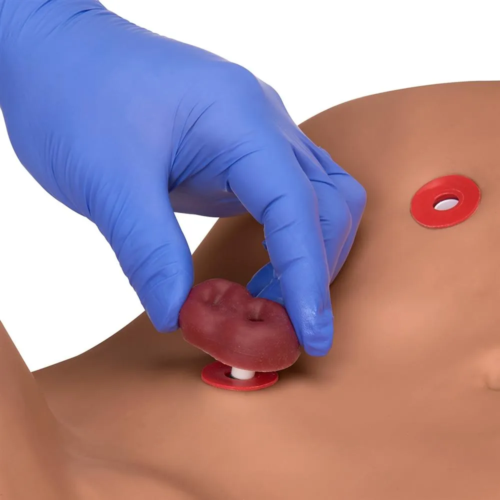 Advanced Patient Care Male and Female Catheterization Simulator, Light