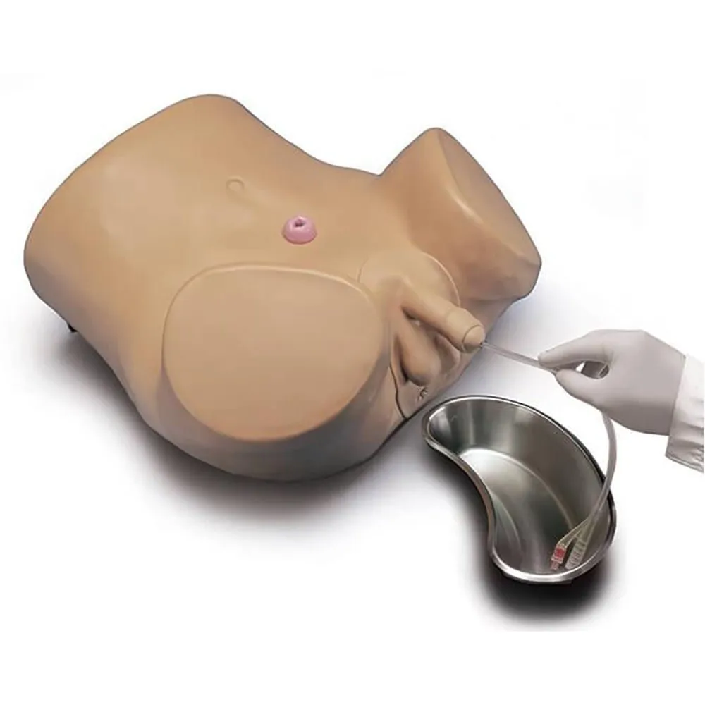 Advanced Patient Care Male and Female Catheterization Simulator, Light