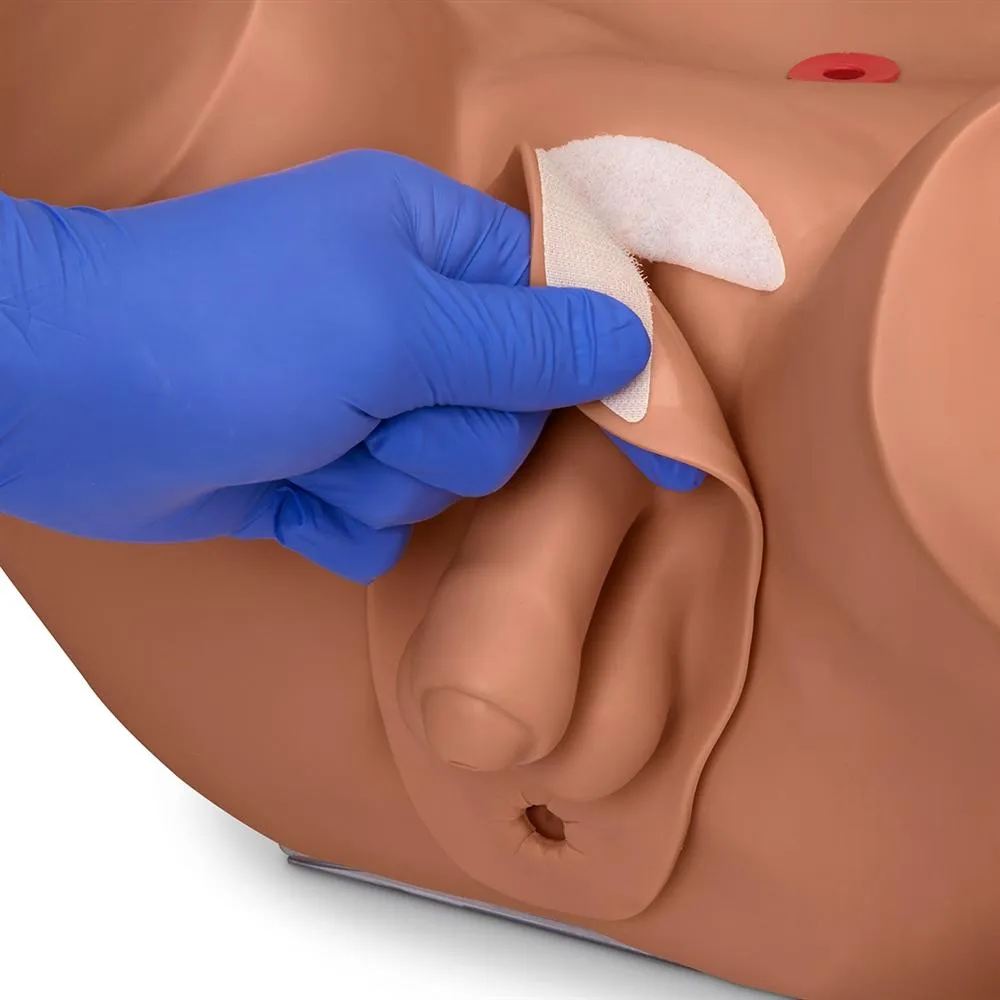 Advanced Patient Care Male and Female Catheterization Simulator, Light