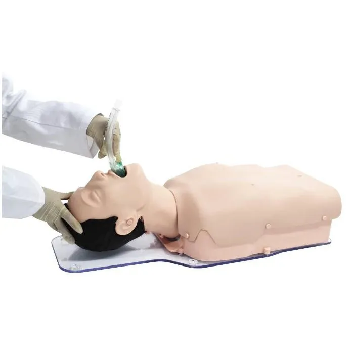 Airway Management Training Model