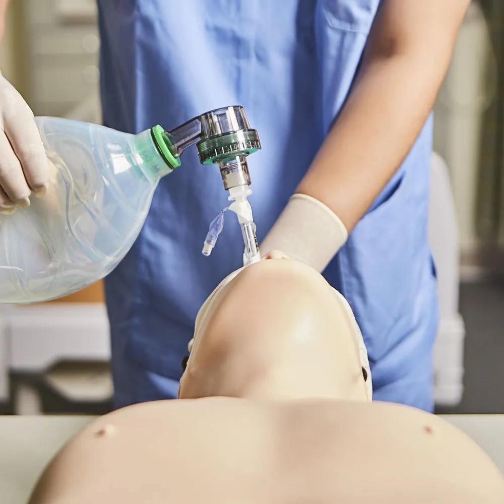 Airway Management Training Model