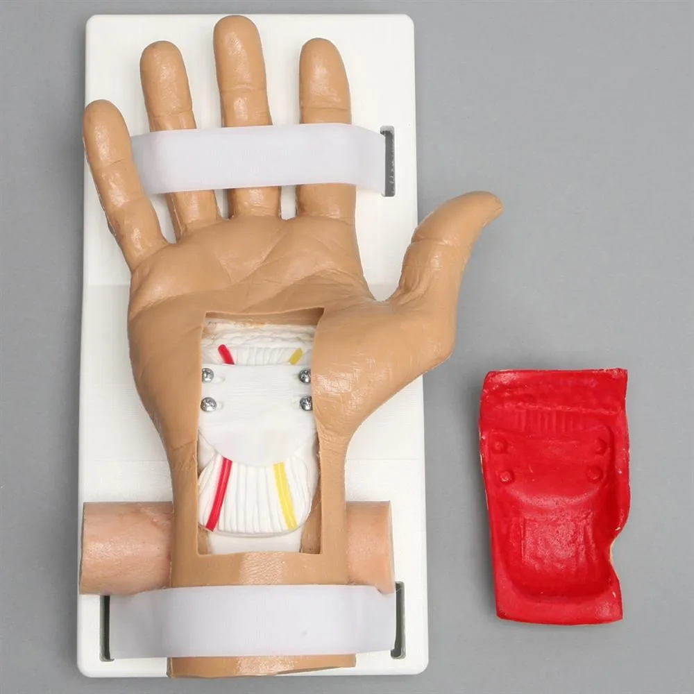 Arthroscopy Carpal Tunnel Hand Model