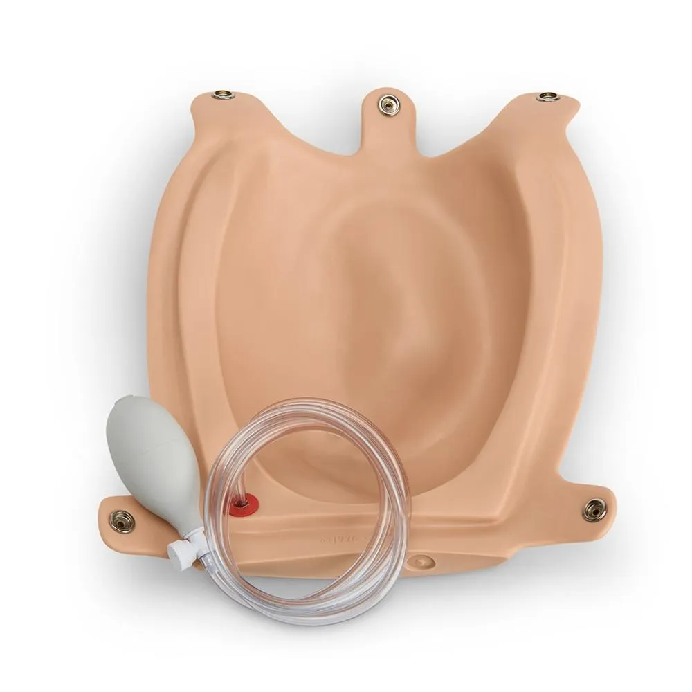 Articulating Newborn for Leopold Maneuvers for item S500, Light
