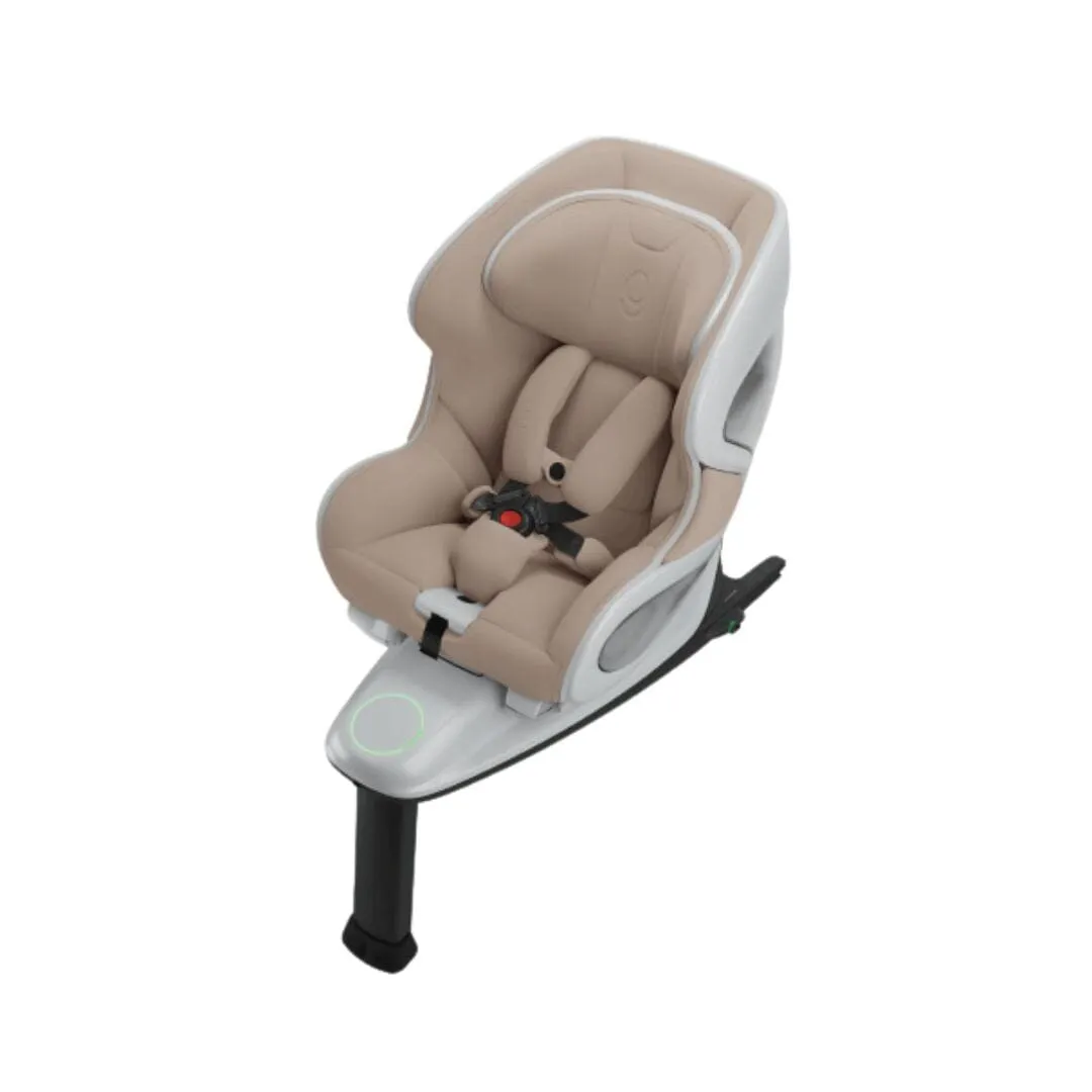 Babyark Convertible Car Seat - Premium