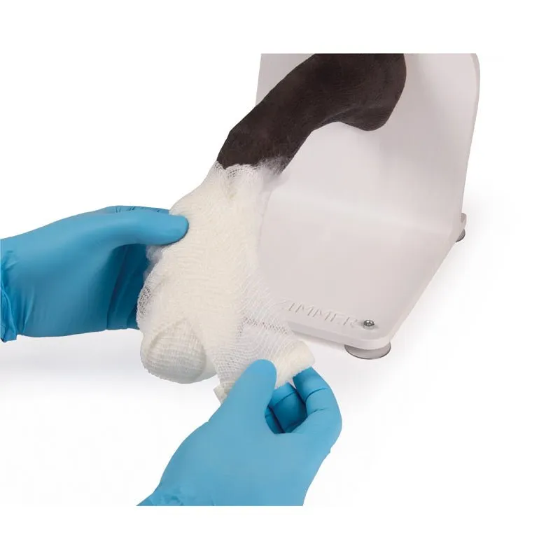 Bandage Trainer Canine Paw