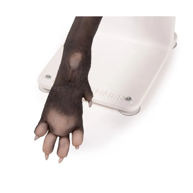 Bandage Trainer Canine Paw