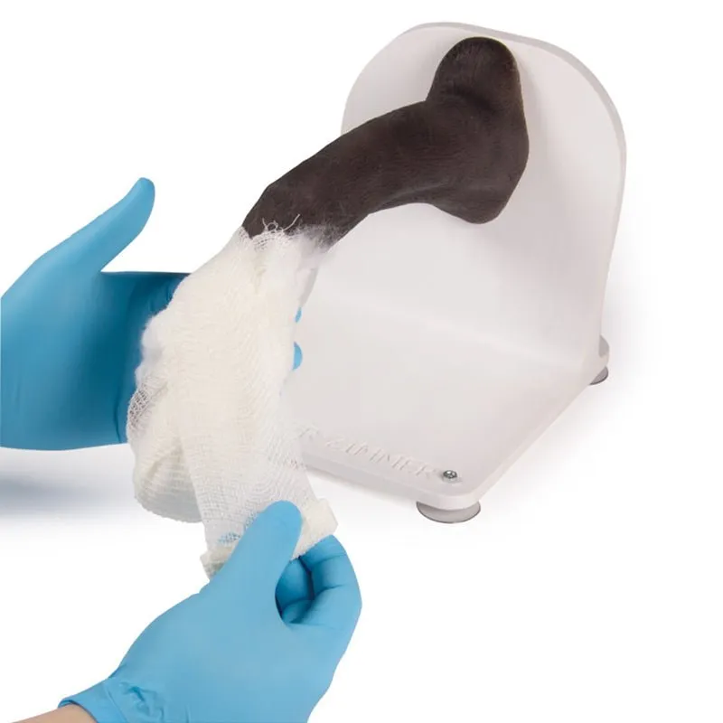 Bandage Trainer Canine Paw