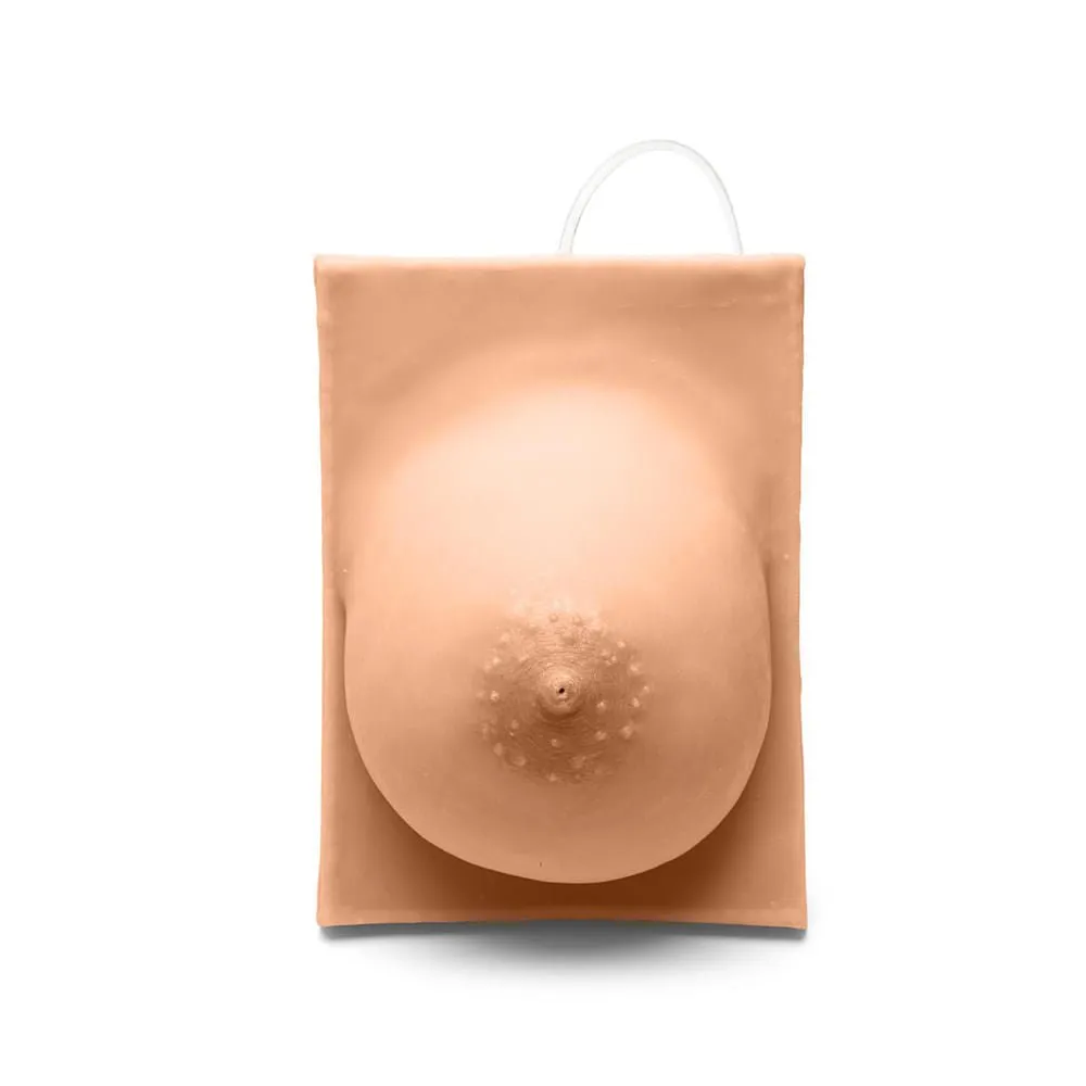 Basic Breast Lactation Model