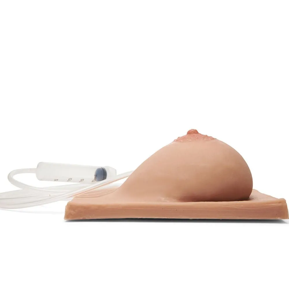 Basic Breast Lactation Model