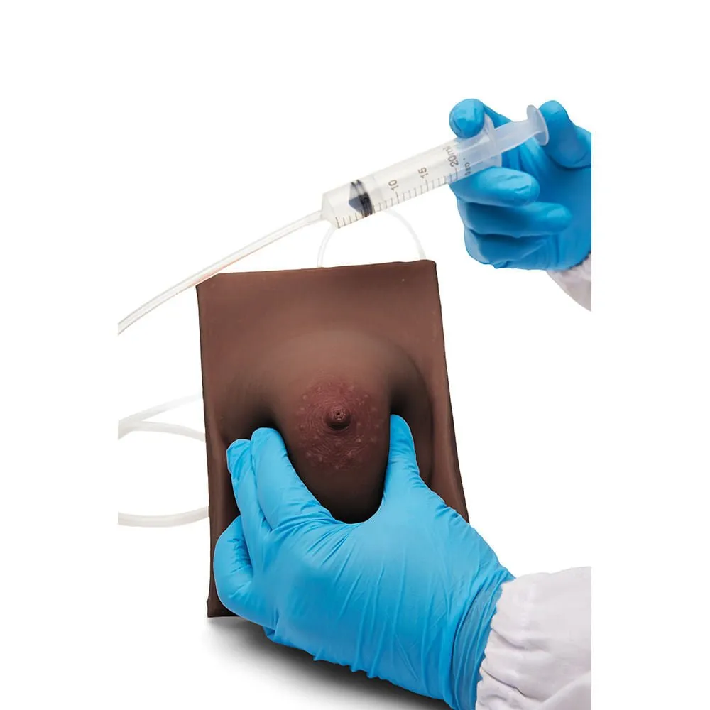 Basic Breast Lactation Model