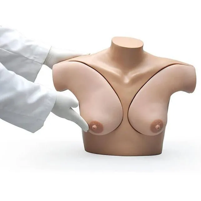 Breast Palpation Simulator for Clinical Teaching, Light