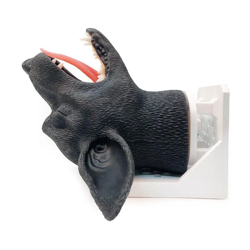 Canine Intubation Head