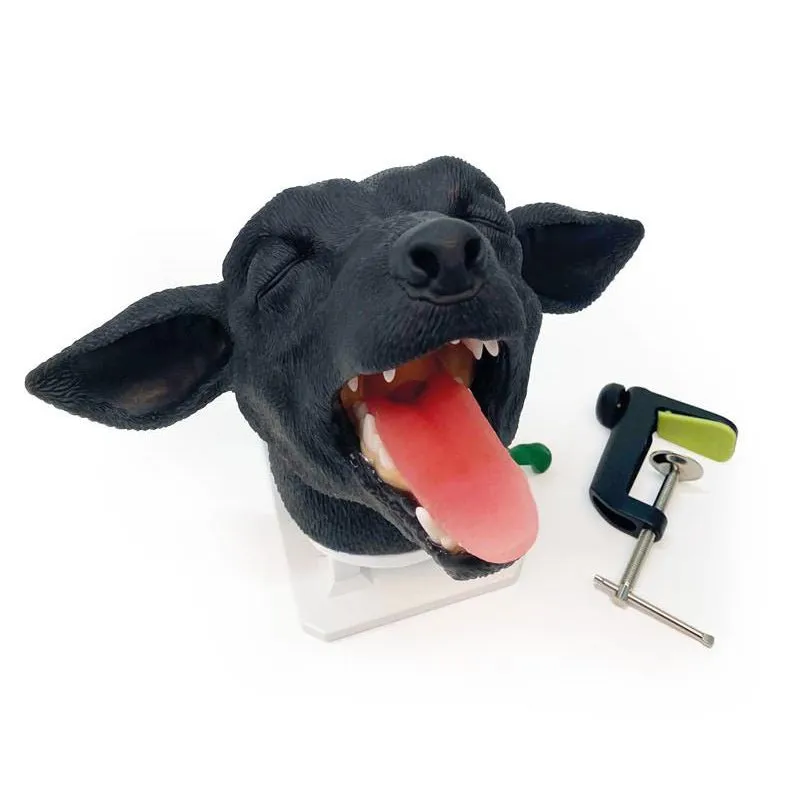 Canine Intubation Head
