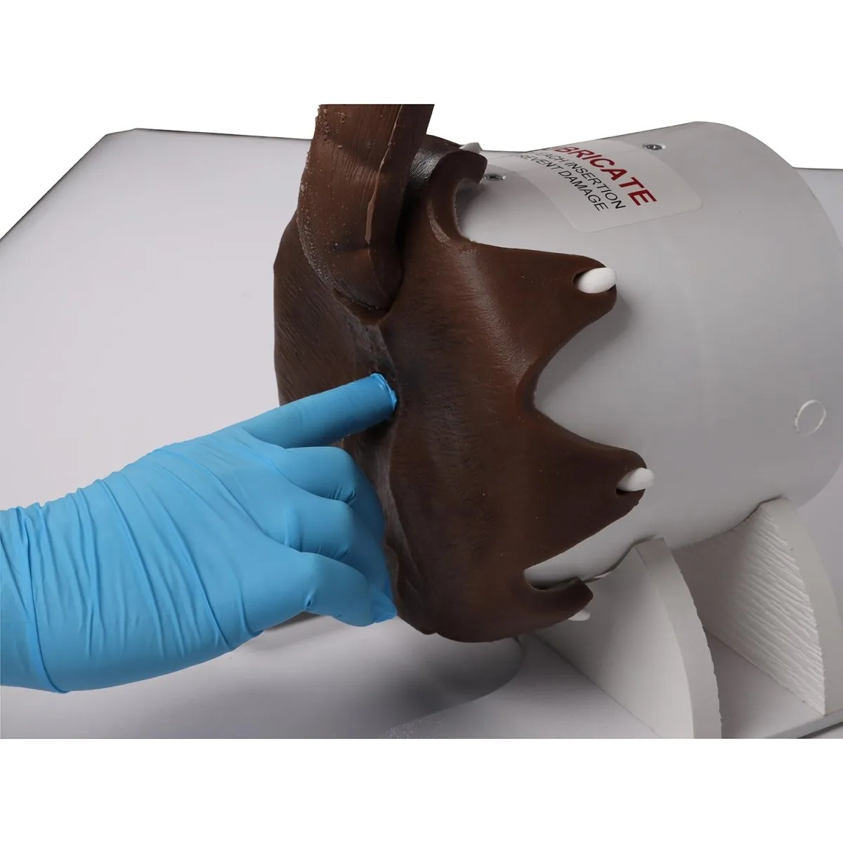 Canine Rectal Exam Task Trainer