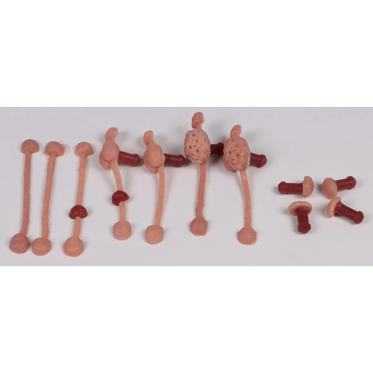 Canine Rectal Exam Task Trainer