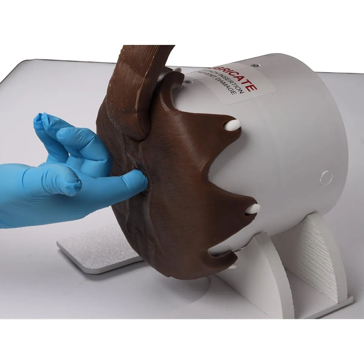 Canine Rectal Exam Task Trainer