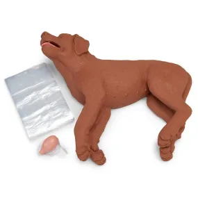 CasPeR The CPR Dog Manikin