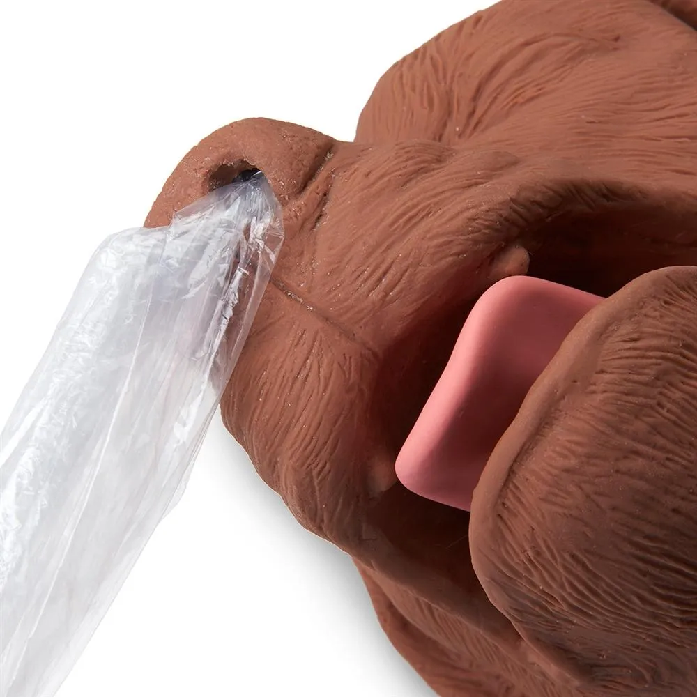 CasPeR The CPR Dog Manikin