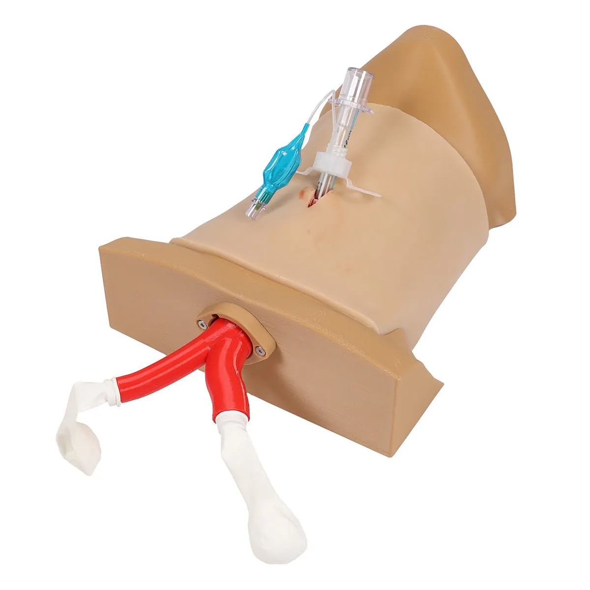 Crico Chris - Cricothyrotomy Task Trainer