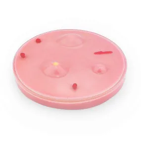 Dissection Disc Training Simulator
