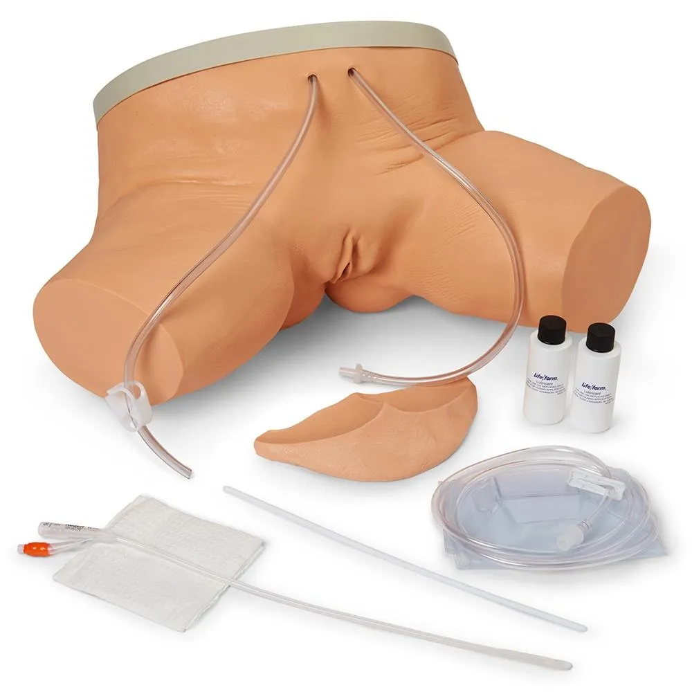 Female Catheterization Simulator