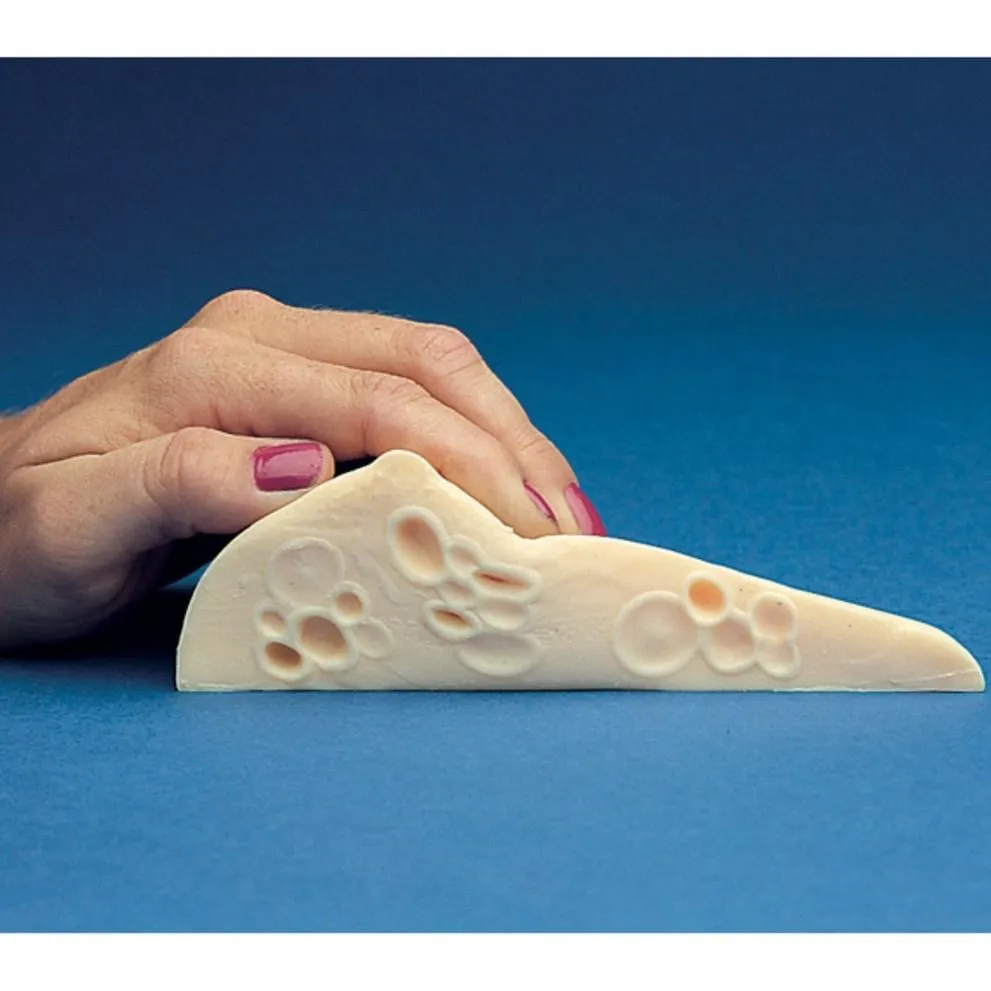 Fibrocystic BSE-Breast Self-Examination Model
