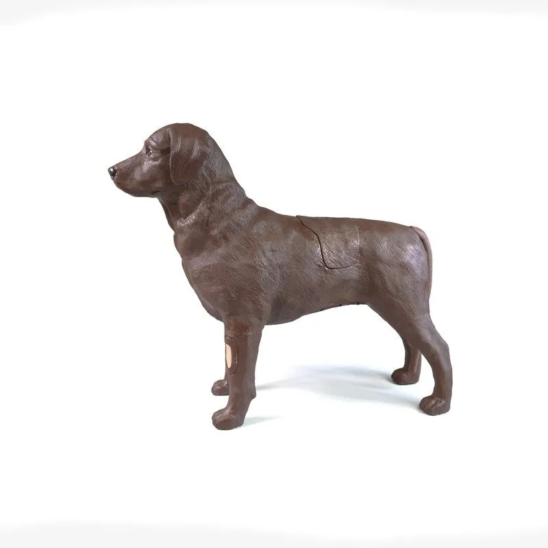 Gynecological Training Dog Gyndog 'Gynnie' Simulator