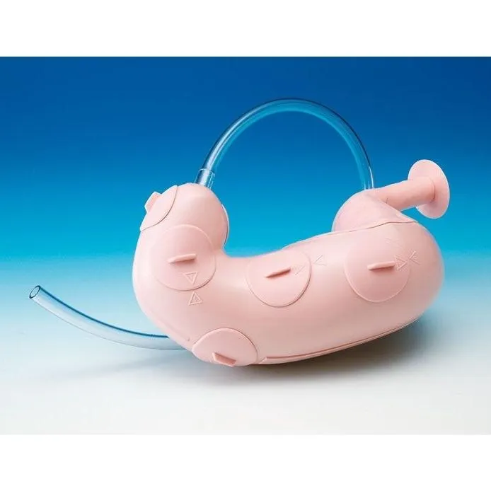 Koken ESD (Endoscopy Submucosal Dissection) Training Model with Case