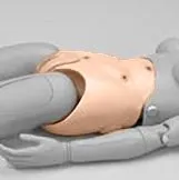 Lower Torso for model S206