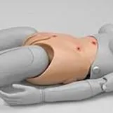 Lower Torso for model S206
