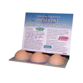 Multi-Type BSE Model, Beige, English-Spanish