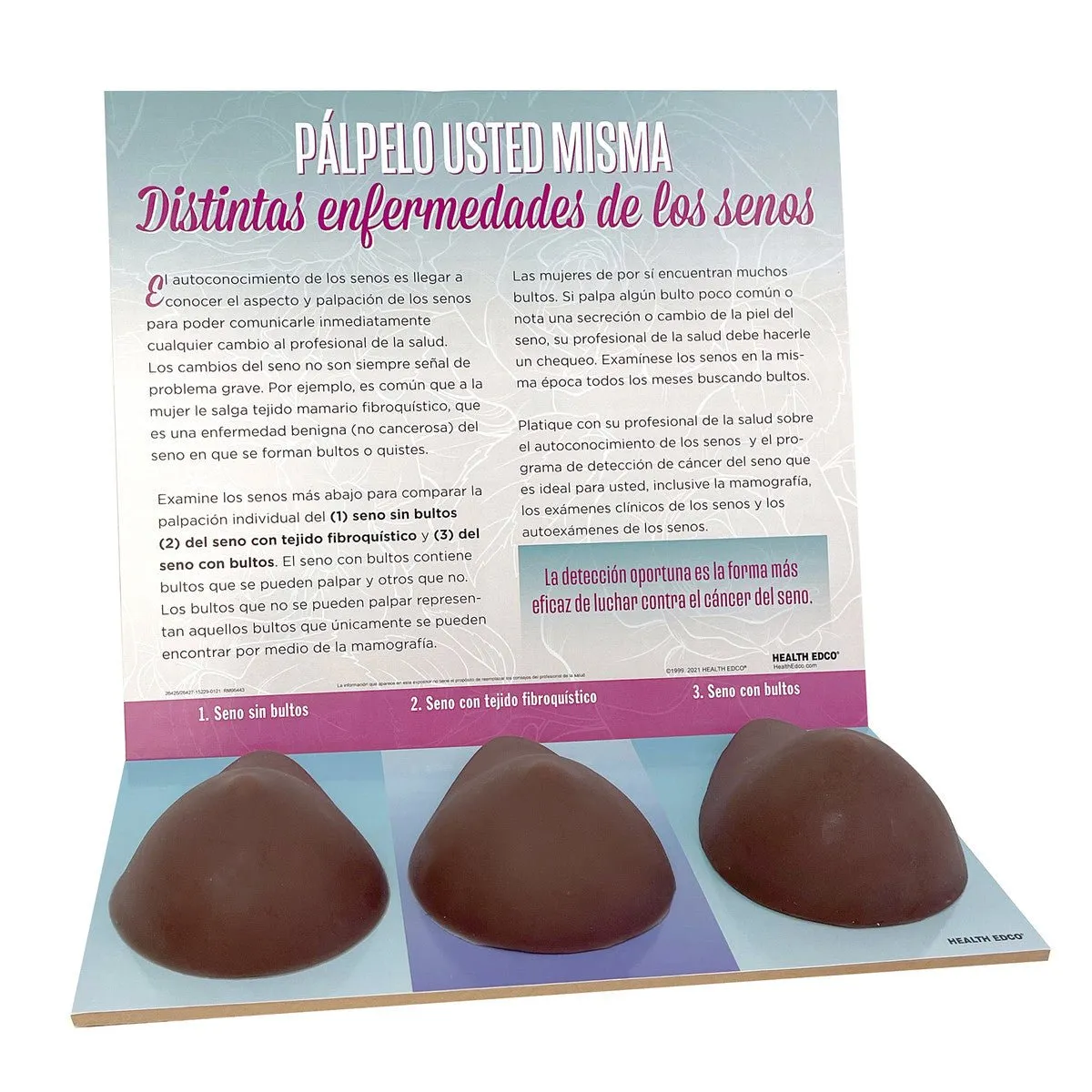 Multi-Type BSE Model, Brown, English-Spanish