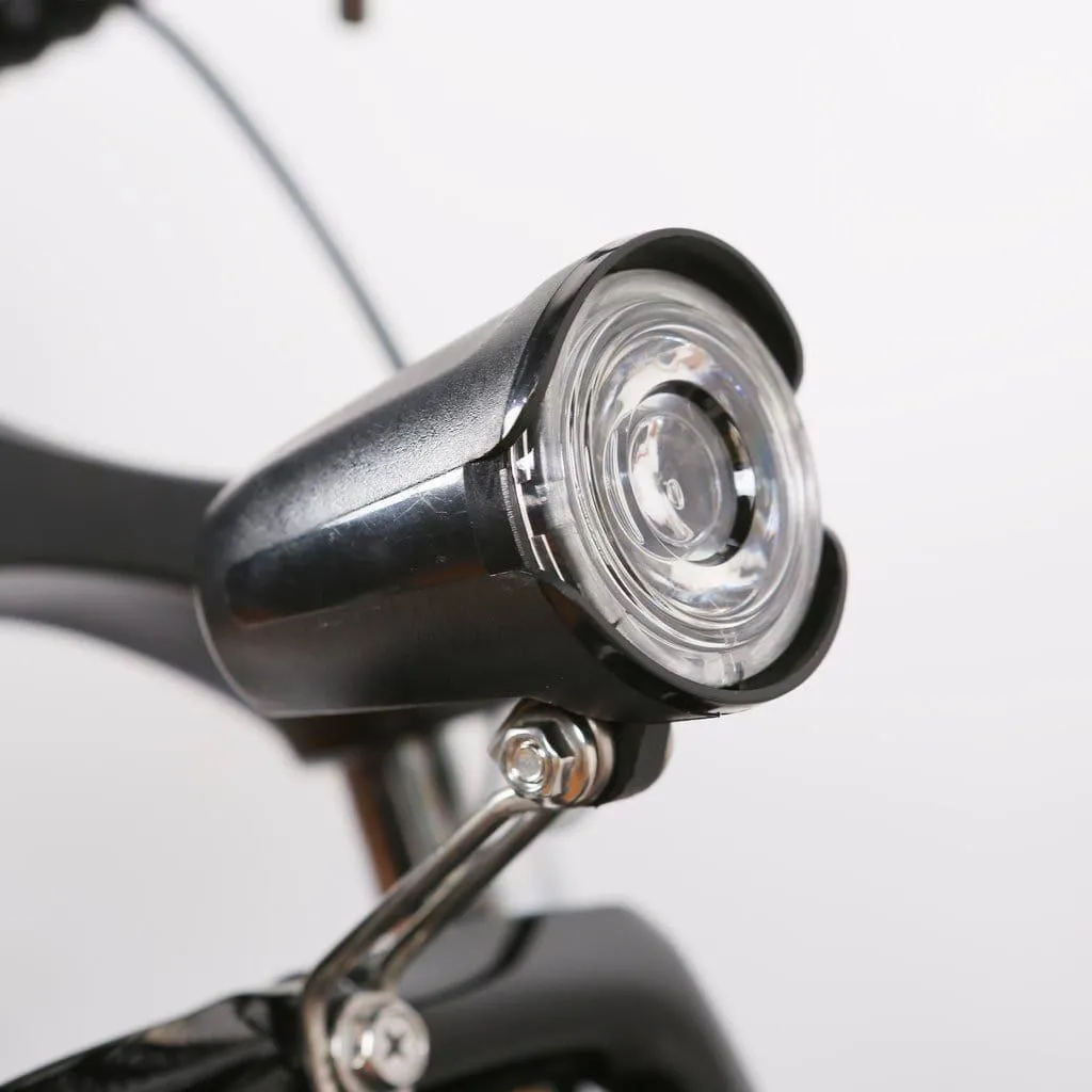 NAKTO, Discovery Premium, Fat Tire, Mag Wheel, Electric Bike,  20"  - 350 Watt, 48V