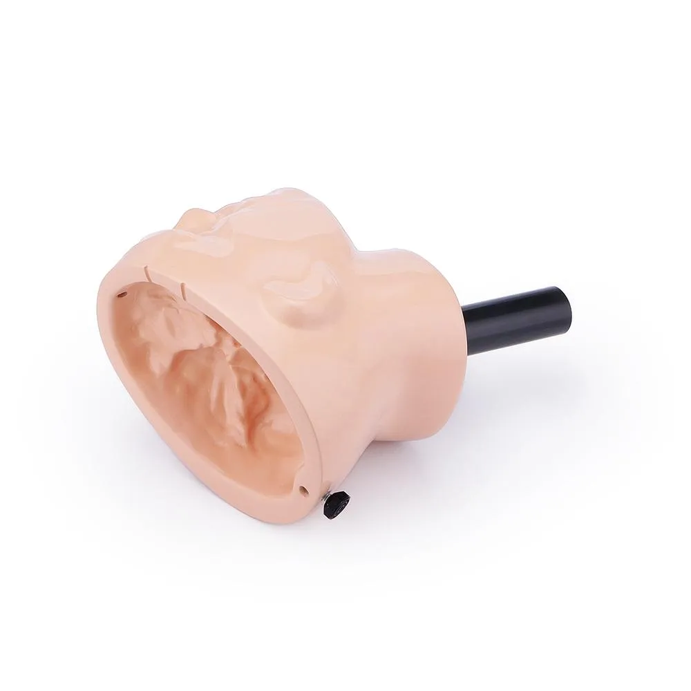 Neuroendoscopic Surgery Training Simulator