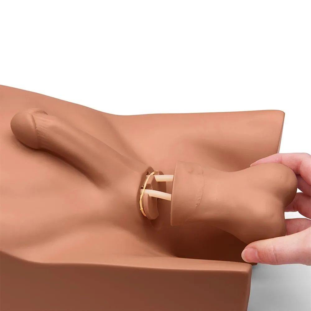 No Scalpel Vasectomy (NSV) Simulator, Medium