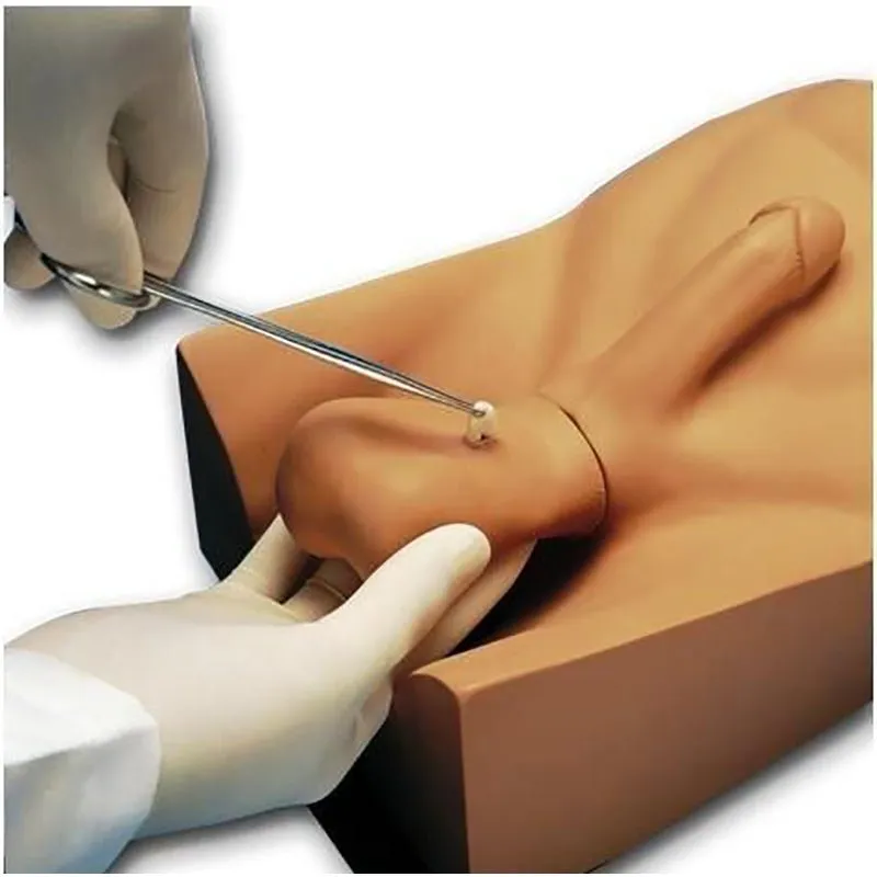 No Scalpel Vasectomy (NSV) Simulator, Medium