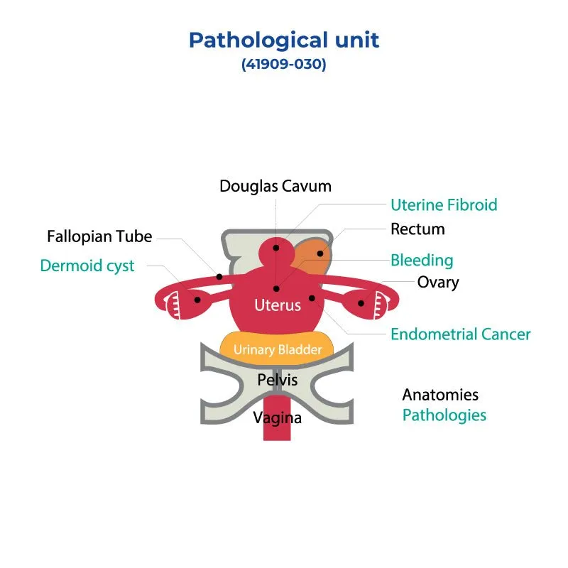 Pathology Unit
