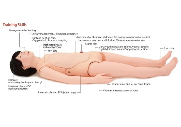 Patient Care Simulator 'Yaye' with CPR Features