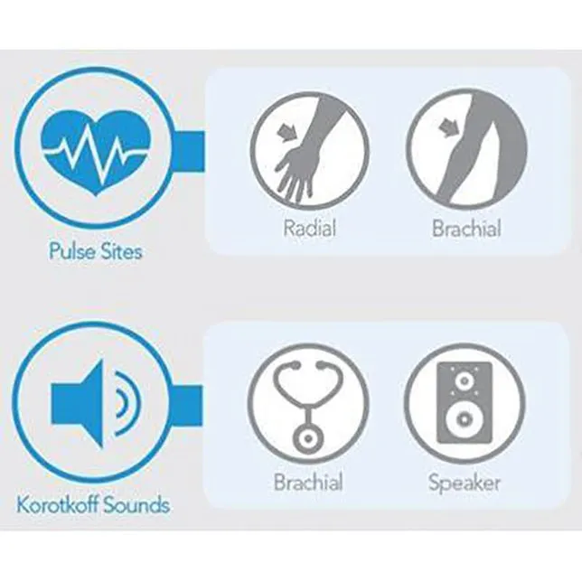 Pulse and Blood Pressure Assessment Simulator