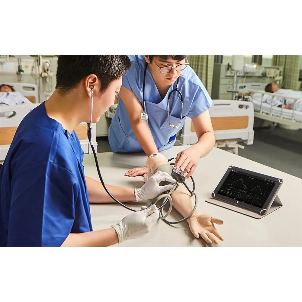 Pulse and Blood Pressure Assessment Simulator