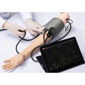 Pulse and Blood Pressure Assessment Simulator