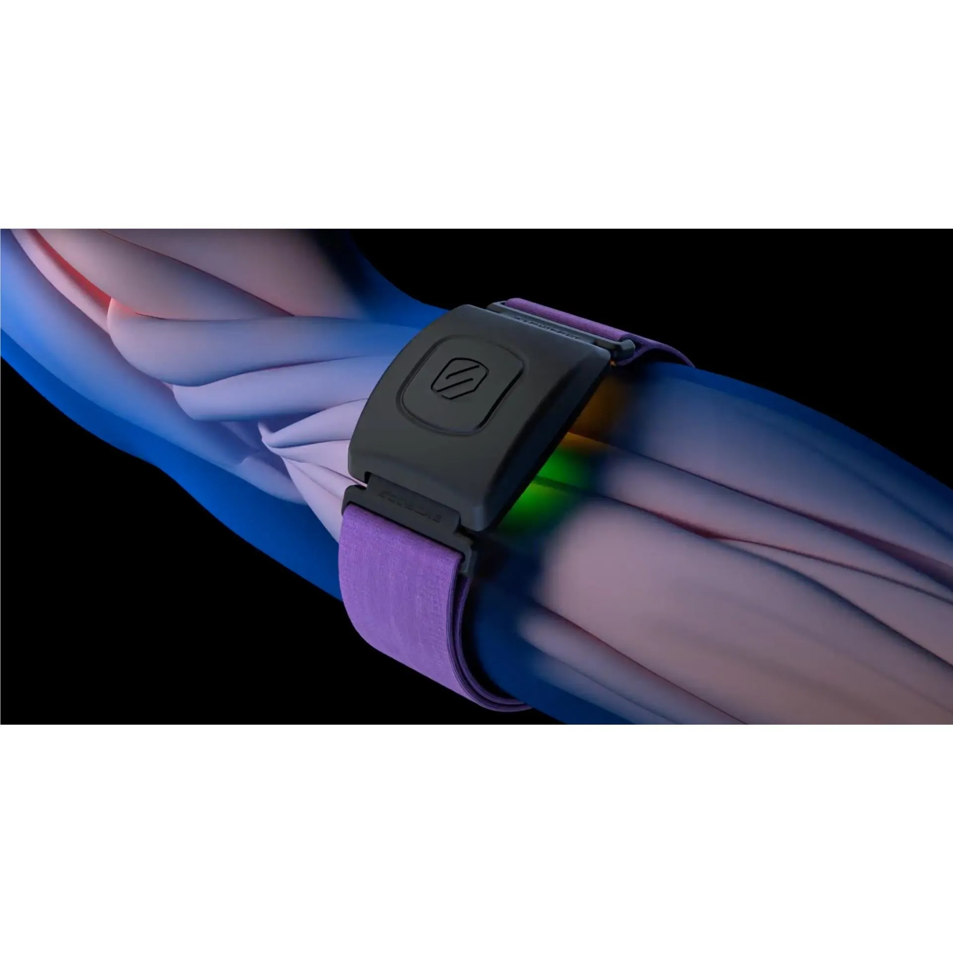 Scosche Rhythm ™2.0 Armband Heart Rate Monitor (Black)